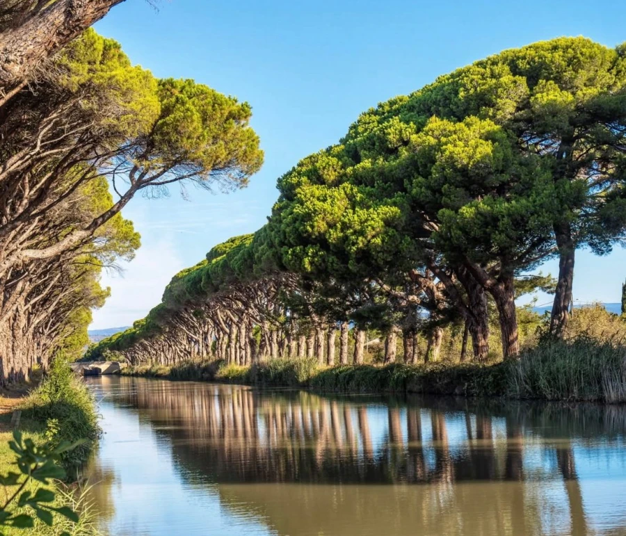 Taxi événementiel Narbonne et Aude
